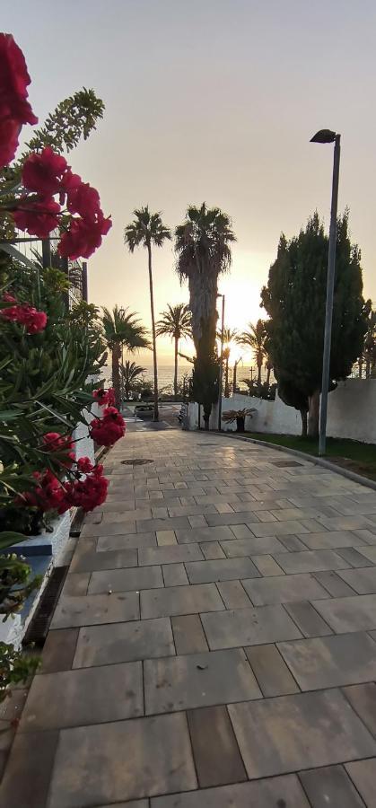 Apartamento Playa Las Americas Playa de las Americas  Exterior photo